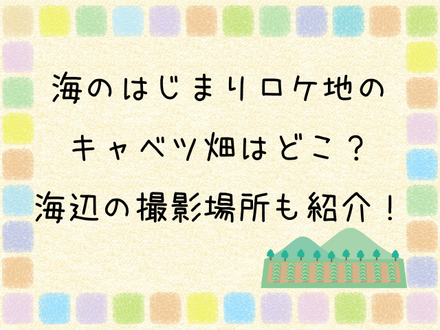 海のはじまり　ロケ地　キャベツ畑　どこ　 海辺　撮影場所